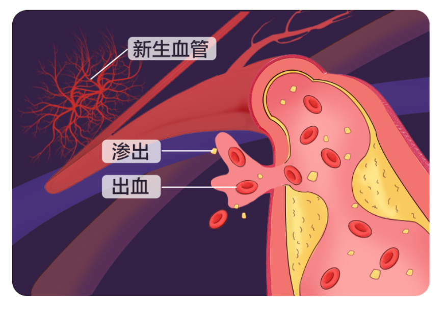 许昌爱尔眼科